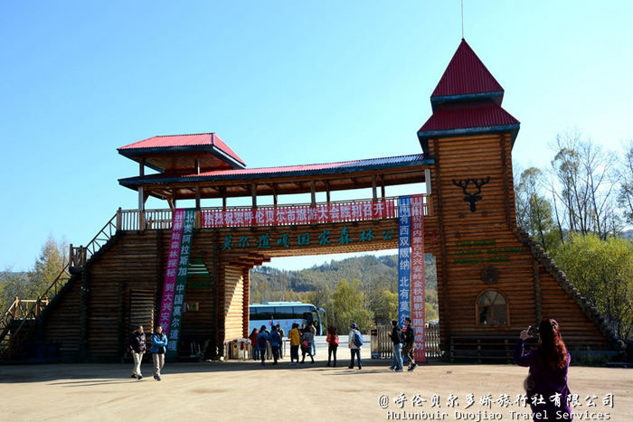 呼倫貝爾莫爾道嘎森林公園