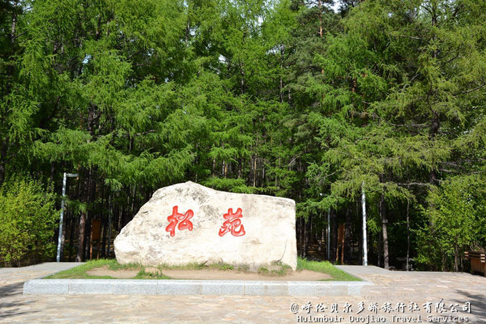 漠河松苑公園