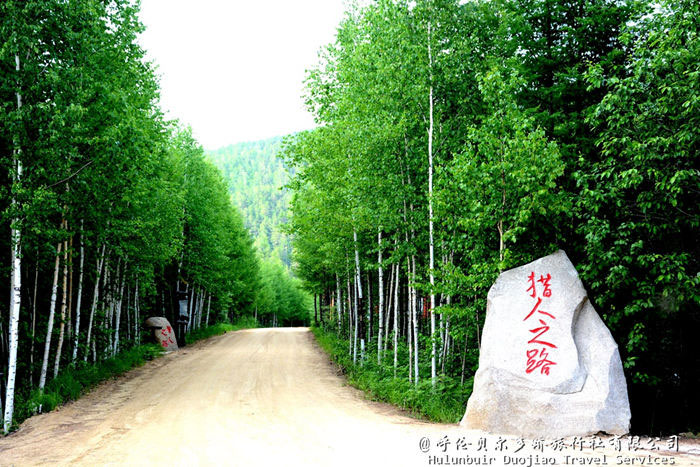 莫爾道嘎原始森林公園