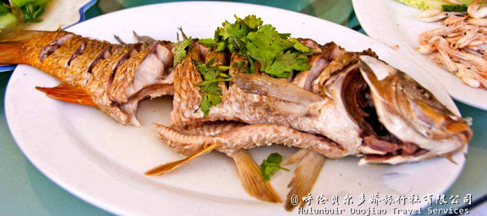 呼倫湖的魚宴
