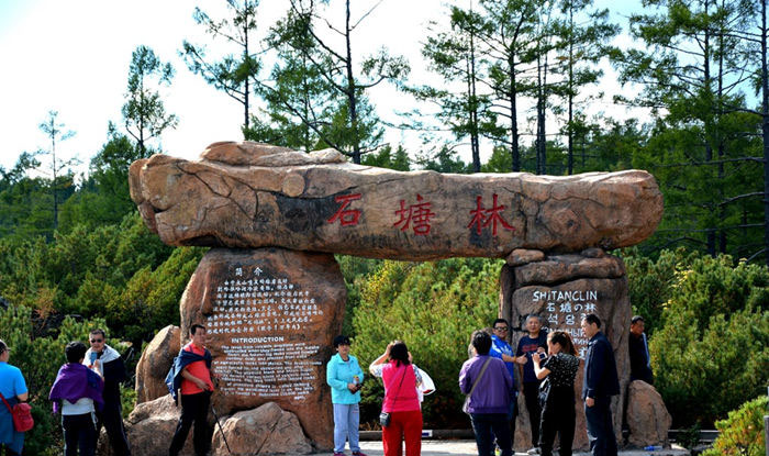 阿爾山國家森林公園