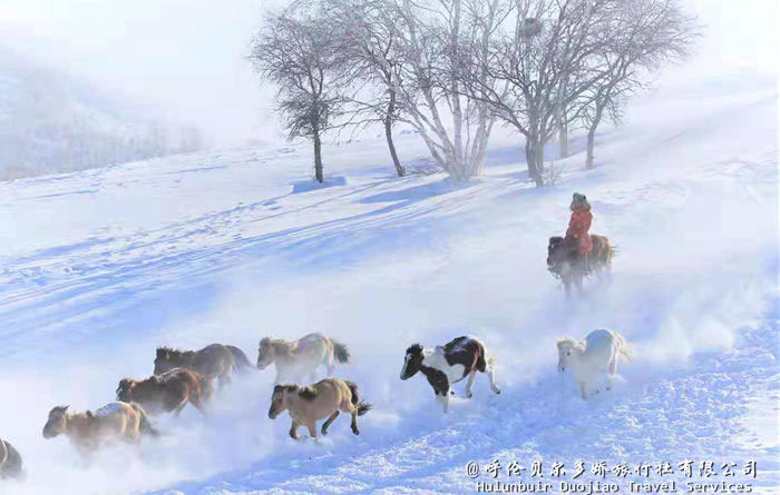 阿爾山冬季旅游照片
