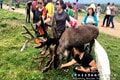 呼倫貝爾5日游線路旅游攻略