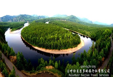 莫爾道嘎國家森林公園,白鹿