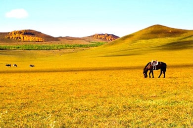 阿爾山秋色旅游線路_大美金